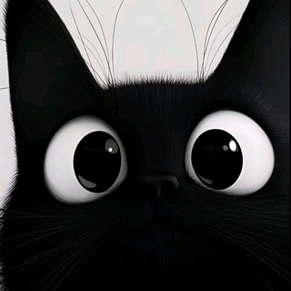Telegram profile photo for DBOT FTR