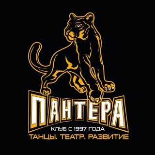 Telegram profile photo for СТК Пантера Новые Котельники