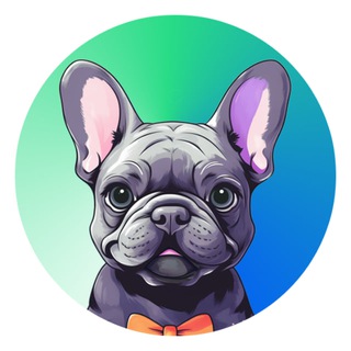 Telegram profile photo for DeFiDo Base Portal