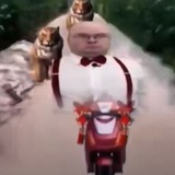 Telegram profile photo for Мухамётка