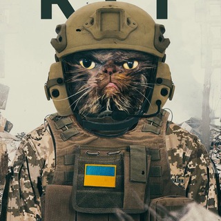 Telegram profile photo for СУМИ LIVE | SUMY LIVE ❤️