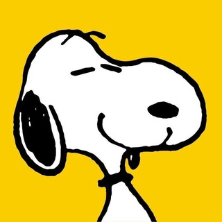 Telegram profile photo for Archive.