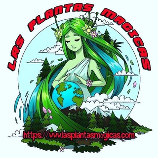 Telegram profile photo for Las Plantas Mágicas 🌻🌸🍄Propiedades medicinales , curativas 🌺🌿