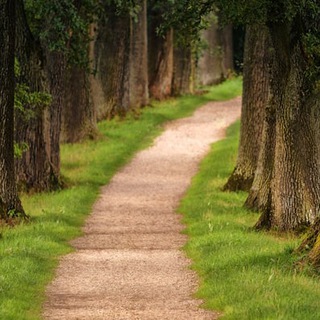 Telegram profile photo for Journey To Nature
