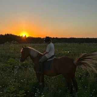 Telegram profile photo for Прайсы Equ Veronika Vasilkina