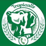 Telegram profile photo for 🚀💸Tropicalls💸🚀