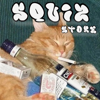 Telegram profile photo for Squiz Store