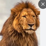Telegram profile photo for 007 ๐ ๐๐ง๐๐ ๐๐๐ก๐ แญ