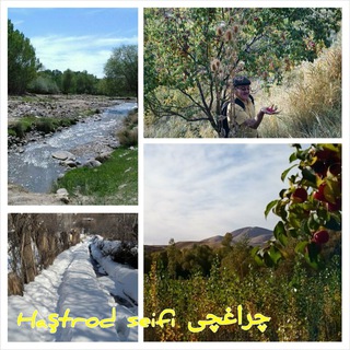 Telegram profile photo for چراغچی Çırağçı