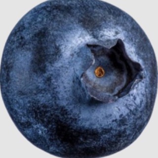 Telegram profile photo for Каталог базы @xoadya