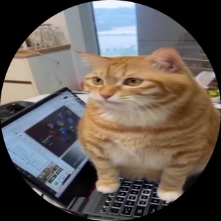Telegram profile photo for Рыжик and Комару