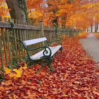 Telegram profile photo for گەڵاڕێزان🍂