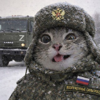 Telegram profile photo for 𝕬𝖉𝖆𝖕𝖙𝖊𝖗 𝕮𝖔𝖐𝖔𝖑𝖔𝖛𝖆