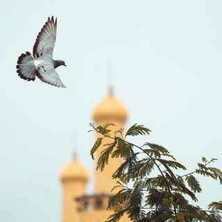 Telegram profile photo for ذِکْر آلَلَهّ حًيَآةّ آلَقُلَوٌبً🌷