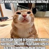 Telegram profile photo for я пиздец