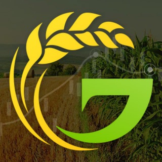 Telegram profile photo for Food Global Investment