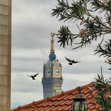 Telegram profile photo for بشرى ؛