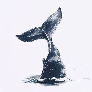 Telegram profile photo for مِتانویـآ؛