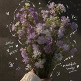 Telegram profile photo for ˚🎧 ربيع الزهر ♡ 🍃🌷⋆。˚