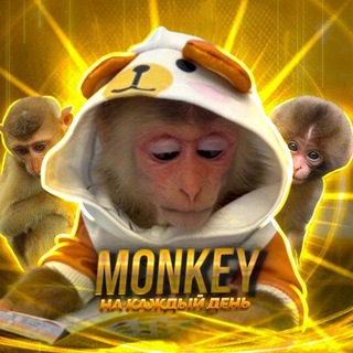 Telegram profile photo for Обезьянки и гифки на каждый день
