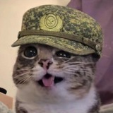 Telegram profile photo for MALIBUCA НЕТ ПУТИ ДОМОЙ