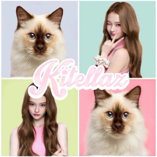 Telegram profile photo for KITELLAZ's Archive