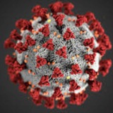 Telegram profile photo for Tamilnadu Corona News Update