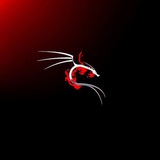 Telegram profile photo for محارب ابتزاز