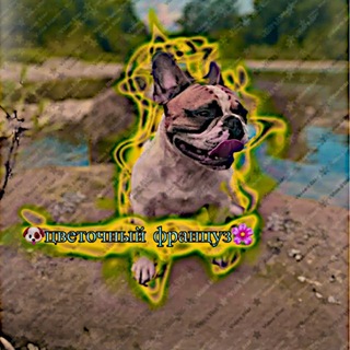Telegram profile photo for 🌷цветочный француз🌸