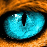 Telegram profile photo for Это интересно!