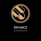 Telegram profile photo for StriveC2