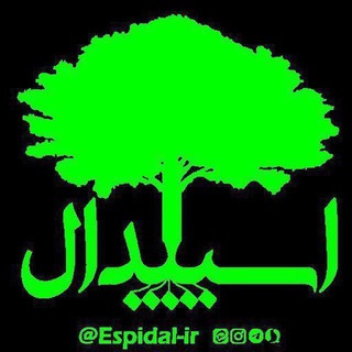 Telegram profile photo for اسپیدال