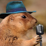 Telegram profile photo for Agree Disagree Be Free