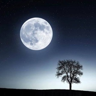 Telegram profile photo for Магия Эзотерика