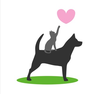 Telegram profile photo for PRO100KOTT