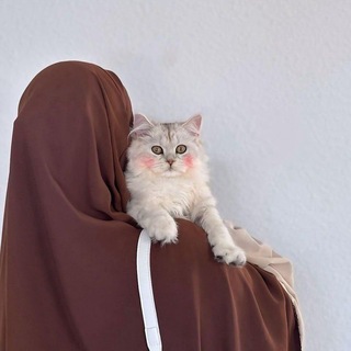 Telegram profile photo for اليَقين