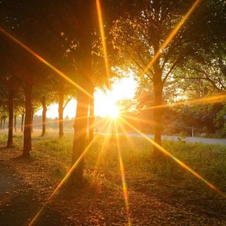 Telegram profile photo for Sun
