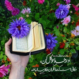 Telegram profile photo for 💙قاصدک خدا💙
