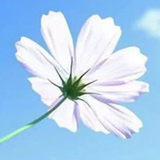 Telegram profile photo for 【国人在外】柬埔寨
