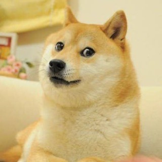 Telegram profile photo for Семейные мемы