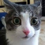 Telegram profile photo for WTF??? (часом, что за бесовщина?)