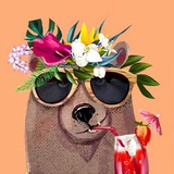Telegram profile photo for ماداگاسکار مثبت :)