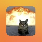 Telegram profile photo for пруфы😎