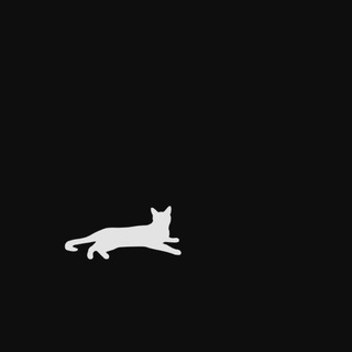 Telegram profile photo for Silent Cat VPN