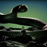 Telegram profile photo for belongs to the heir of slytherin