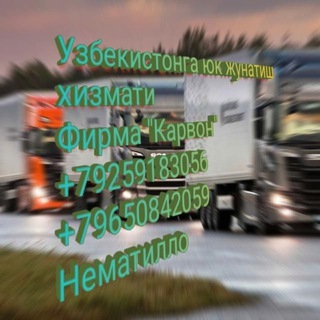 Telegram group profile photo for Москвадан Узбекистонга почта хизмати