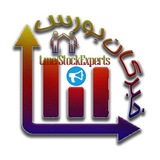 Telegram profile photo for خبرگان بورس