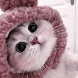 Telegram profile photo for Lady.kpxr