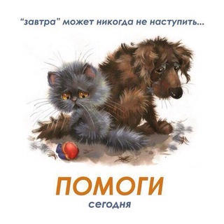 Telegram group profile photo for Помощь животным