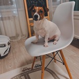 Telegram profile photo for СИБХоРеКа | Мебель под заказ